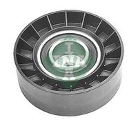 Schaeffler INA 532 0062 10 Galoppino/Guidacinghia, Cinghia Poly-V per BMW
