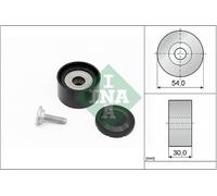 Schaeffler INA 532 0234 10 Galoppino/Guidacinghia, Cinghia Poly-V per CHRYSLER,D