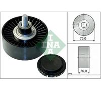 Schaeffler INA 532 0751 10 Galoppino/Guidacinghia, Cinghia Poly-V per BMW