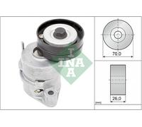 Schaeffler INA 534 0102 30 Tendicinghia, Cinghia Poly-V per CHEVROLET,HOLDEN,OPE