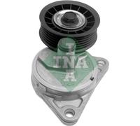 Tendicinghia multirighe 534 0130 20 INA per FORD MAZDA