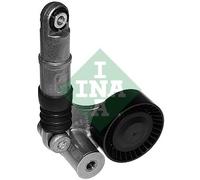 Schaeffler INA 534 0257 10 Tendicinghia, Cinghia Poly-V per DODGE,MERCEDES-BENZ