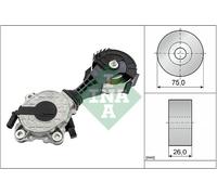 Schaeffler INA 534 0425 10 Tendicinghia, Cinghia Poly-V per AEOLUS,BMW,CITROËN,C