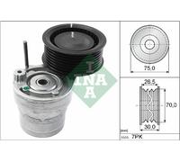 Schaeffler INA 534 0603 10 Tendicinghia, Cinghia Poly-V per RENAULT,SMART
