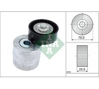 INA 534 0715 10 Braccio tenditore, Cinghia Poly-V