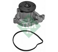 INA 538 0113 10 motore