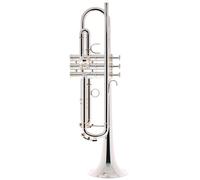 Schagerl "1961" Bb-Trumpet B2N S