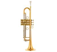 Schagerl James Morrison Trp. JM1-L