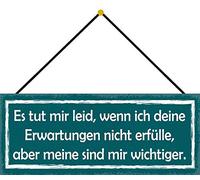 Schatzmix Blechschild Es Tut leid, Wenn ICH Deine Erwartungen Nicht 27x10 mit Kordel Targa di Metallo da Parete, Lamiera, Multicolore, 27x10 cm