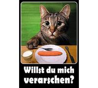 Schatzmix Blechschild Katze Spruch Willst du Mich verarschen Metallschild Wanddeko 20x30 cm Tin Sign Targa di Metallo da Parete, Lamiera, Multicolore, 20_x_30_cm