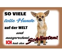 Schatzmix Blechschild Spruch ICH HAB den schönsten Hund Metallschild Wanddeko 20x30 cm Tin Sign Targa di Metallo da Parete, Lamiera, Multicolore