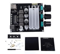 Sche amplificatore a doppio canale BT 5.3 Digital Power Amp Board Home Automotive Entertainment DC12-24V