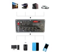 Scheda amplificatore audio 30-120 W Regolazione subwoofer per moto TV LCD