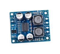 Scheda Amplificatore Audio Digitale Mono TPA3118 60W 8V-24V Modulo Audio per DIY Domestico