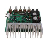 Scheda Amplificatore Del Pannello Posteriore Del Preamplificatore Audio Da 400