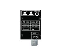 Scheda Amplificatore Digitale 5.4 5-22V 502L HIFI per Audiophile Amplificatore Stereo Ad Alta Potenza 2.0