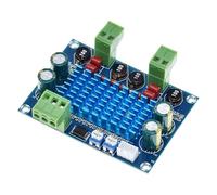 Scheda amplificatore digitale da 120 W con chip TPA3116D2 | Potente amplificatore audio digitale mono da 120 W con protezione da sovracorrente e surriscaldamento