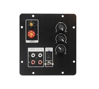 Scheda amplificatore for altoparlanti a 2.0 canali 100W*2 POWER Bluetooth 4.2,Riproduzione accurata