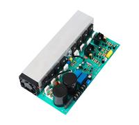 Scheda amplificatore Modulo amplificatore di potenza mono finito 800W