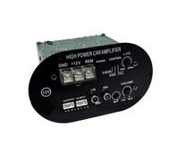 Scheda amplificatore per auto 12V Amplificatore subwoofer ad alta potenza 500W Full Tone Pure Scheda amplificatore subwoofer per auto Stile 1