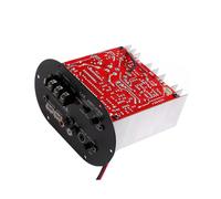 Scheda amplificatore per auto 12V Subwoofer ad alta potenza 120W Full Tone Pure Core