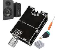 Scheda Amplificatrice Audio Wireless: Modulo Altoparlante Mono 100 W, Potente Amplificatore Subwoofer Senza fili, Funzione Suono Spaziale Di Accoppiamento Senza Fili Vero