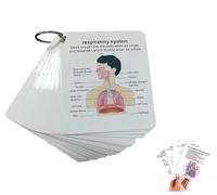Scheda anatomica del sistema del corpo umano, scheda di apprendimento portatile per studenti, 1 set guida per l'apprendimento medico e infermieristico con anelli, regalo per studenti, flashcard