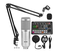 Scheda audio 16 Effetti sonori Riduzione del rumore for mixer microfono cambio vocale con interfaccia audio Registrazione Phantom Power Per lo studio di registrazione DJ(Color:Option 2)
