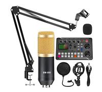 Scheda audio 16 Effetti sonori Riduzione del rumore for mixer microfono cambio vocale con interfaccia audio Registrazione Phantom Power Per lo studio di registrazione DJ(Color:Option 1)