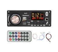 Scheda decodifica MP3 for auto DC 12V TPA3116D2 Amplificatore 2 * 50W+100W con radio FM e riproduzione MP3/WAV/APE(Set A)