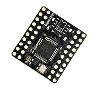 Scheda di sviluppo del microcontrollore, porta C non ha | Modulo compatto di tipo C con accesso al pad per progetti di apprendimento integrati e Maker Work per la pratica dello studio
