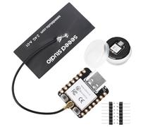 Scheda di sviluppo ESP32-C3 Seeed Studio XIAO a bassa potenza Bluetooth WiFi Dual-Mode Scheda di sviluppo Interfaccia tipo C