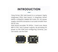 Scheda di Sviluppo FPGA Tang Primer 25K GOWIN GW5A RISCV PMOD SDRAM