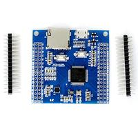 Scheda di sviluppo Internet of Things per MicroPython per PyBoard STM32F405
