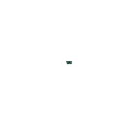 Scheda elettronica came 3199zbx7n per automazione serie bx 230v