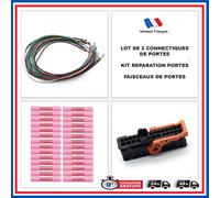 Scheda Elettrico Cablaggio Fascio Porta per VW Seat 1K0937702C 1K0971121BL
