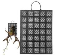 Scheda Fern Staghorn - Scheda Per Fioriere Per Pareti Per Piante Verticali | Monte A Parete Di Platycerium | Montaggio In Legno Per Orchidee Platycerium E Display Decorativo Per Piante D'aria Per L