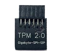 Scheda modulo SPI a 12 pin per scheda remota TPM 2.0 per 12 pin