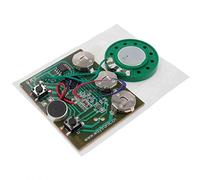 Scheda musicale programmabile con chip per biglietti di auguri, regali fai da te, 30 secondi e 30 secondi, controllo dei tasti, modulo registrabile audio vocale (controllo a doppia chiave)