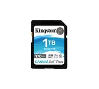 Kingston Canvas Go! Plus SD Karten 1TB SDXC 170R C10 UHS-I U3 V30