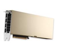 Scheda video rtx pro 6000 96gb server edition blackwell