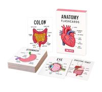 Schede Di Anatomia 30 Pezzi Codifica A Colori Recupero Conoscenze | Carte Visive Di Anatomia E Fisiologia Per Studio Per Ripasso Pre-Esame Università Routine Quotidiana In Aula