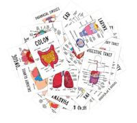 Schede Di Anatomia 30 Pezzi Codifica A Colori Recupero Conoscenze | Studio Di Biologia Schede Anatomia Per Ripasso Pre-Esame Università Routine Quotidiana In Aula