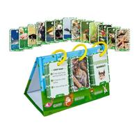 Schede flash di apprendimento per animali, schede flash cognizione animale | Puzzle di apprendimento precoce, giochi educativi, di abbinati con parole ingl
