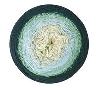 Scheepjes Cotton Whirl 1x1000m - Blueberry Swirl