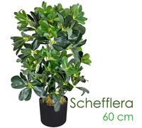 Schefflera Arboricola Pianta Albero Artificiale Plastica 60cm Abitacolo Decovego