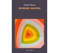 Schegge dentro - Bassi Angelo