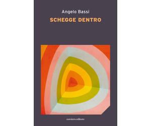 Schegge dentro - Bassi Angelo