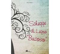 Schegge di legno bucoso