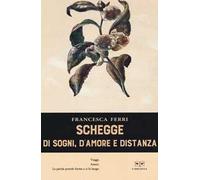 Schegge di sogni, d'amore e distanza